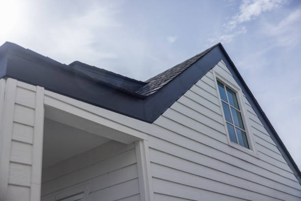 Best Steel Siding Installation  in Deltona, FL